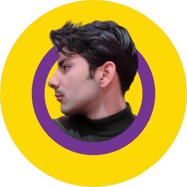 Mir S. - Freelance Database Developer