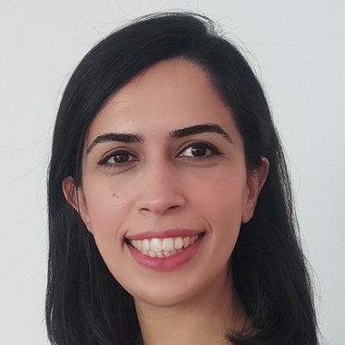 Roudabeh A. - Freelance Developer