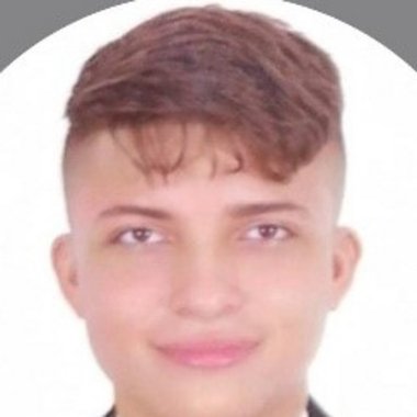 JHOYNEER P. - Freelance Web Developer