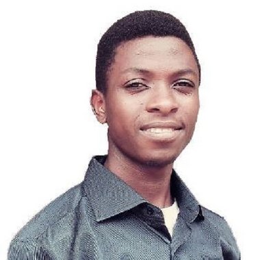 Fimbi F. - Freelance Data Scraping Specialist