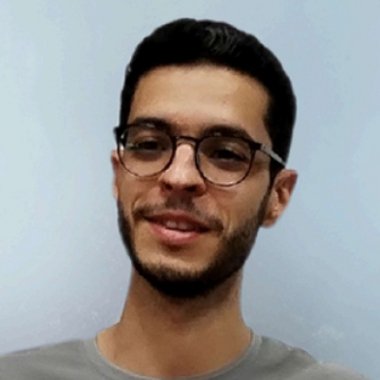 Hesam A. - Freelance Infographic Designer