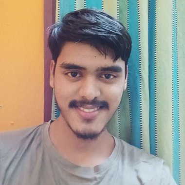 S.K.Phani - Freelance Digital Marketer