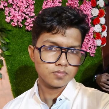 Hritam D. - Freelance Web Developer