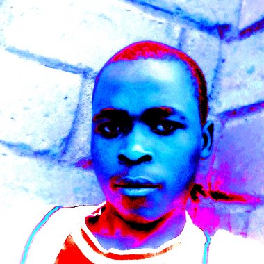 Gilbertsinkhonde - Freelance Social Media Freelancer