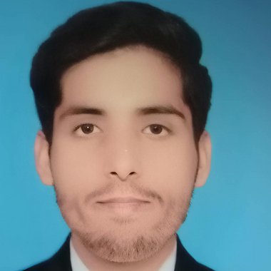 Rashid l. - Freelance Web Developer