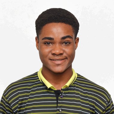Emmanuel A. - Freelance Ai Prompt Engineer