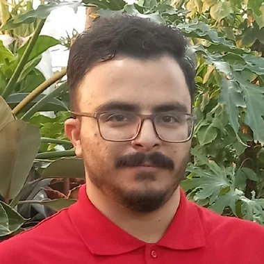 Ali - Freelance App Developer