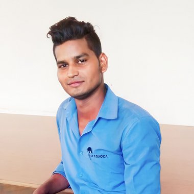 PANKAJ M. - Freelance Data Visualizer