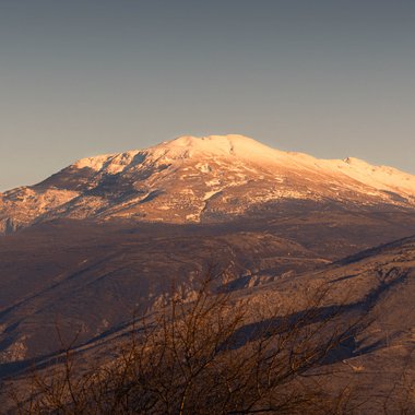 Ilija P. - Freelance Executive Producer