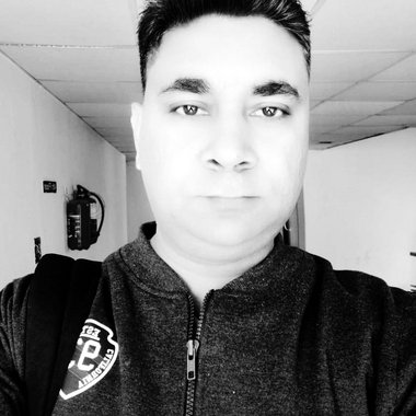 Diljeet S. - Freelance Web Developer