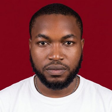 NWADI P. - Freelance Data Analyst