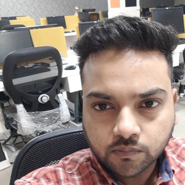 Ankur R. - Freelance Seo Expert