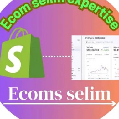 Lekan90402 - Freelance Web Developer