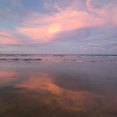 Tess K. - Freelance Social Media Freelancer