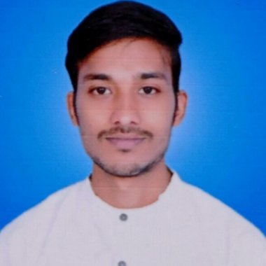 Himanshu A. - Freelance Web Developer