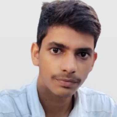 Adarsh P. - Freelance Developer