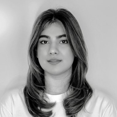 Bahareh P. - Freelance Web Developer