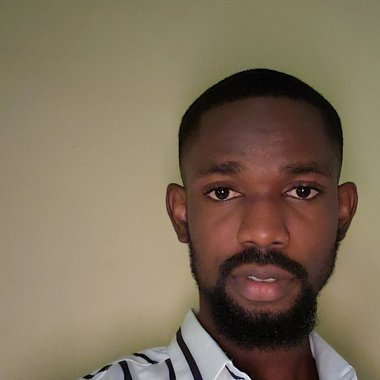 William - Freelance Screenplay Writer