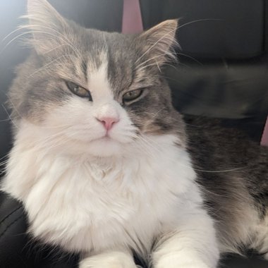 Pavel M. - Freelance Back End Developer