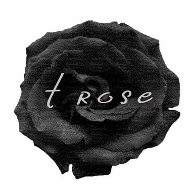 t r. - Freelance Dj