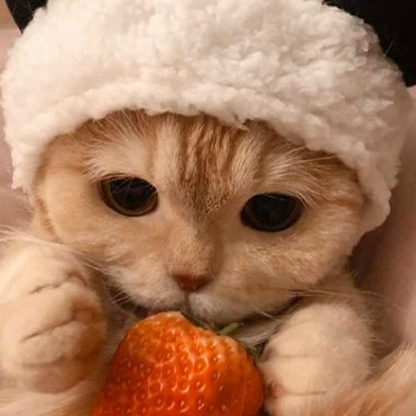 Mitzzy S. - Freelance Visual Effect