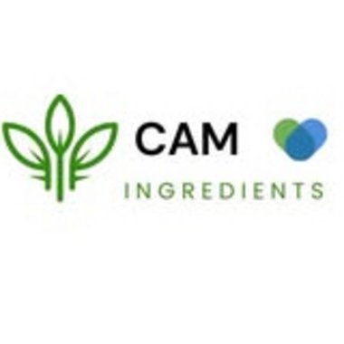 CAM I. - Freelance 2d Animator