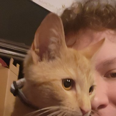 Lincoln E. - Freelance Songwriter