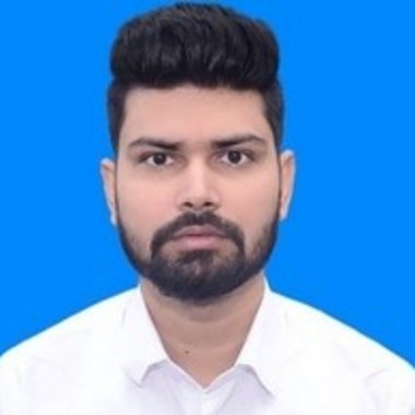 Amarjeet K. - Freelance Digital Marketer