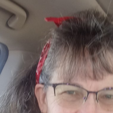 Patti H. - Freelance Songwriter