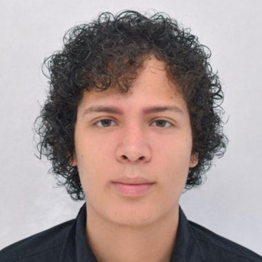 Emanuel P. - Freelance 2d Animator