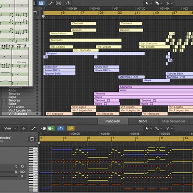 Leopoldo C. - Freelance Band Member