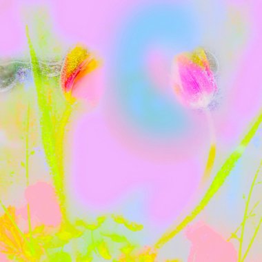Stephanie H. - Freelance Graphic Designer