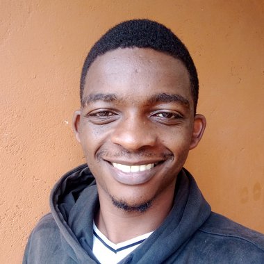 Collins G. - Freelance Web Developer