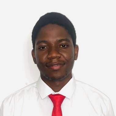 Michael N. - Freelance Web Developer