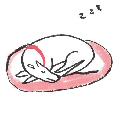 Elana E. - Freelance Freelance Digital Illustrator