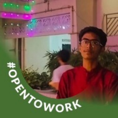 Aditya S. - Freelance Database Developer