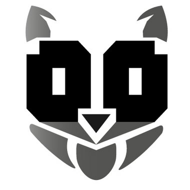 BitRaccoon - Freelance Developer