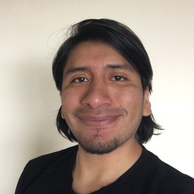 Luis P. - Freelance Digital Marketer