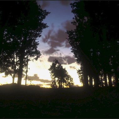 Yazd S. - Freelance Music Editor