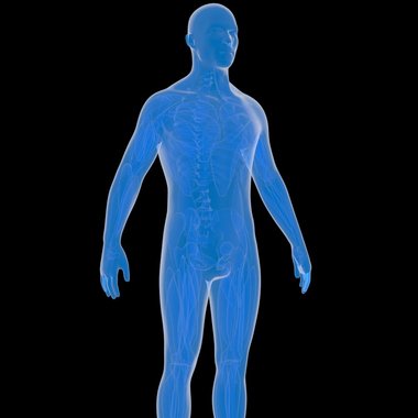 OM C. - Freelance 3d Animator