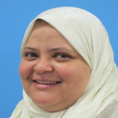 Wessam K. - Freelance Developer