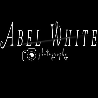 Abel W. - Freelance Brand Designer