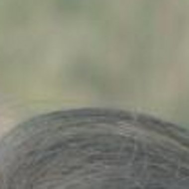 Utsav A. - Freelance Ai Engineer