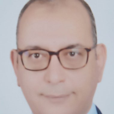 Hany A. - Freelance Writer