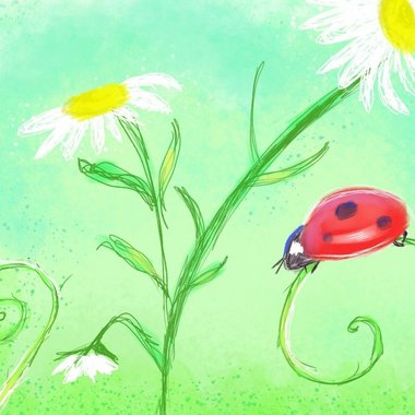 Angela H. - Freelance Content Creator