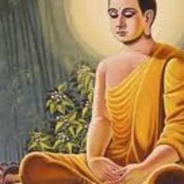 Pallavi D. - Freelance Writer