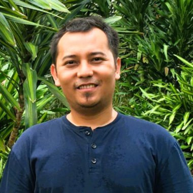 Ari P. - Freelance Web Developer