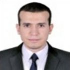 Mohamed Abdul-Raouf Ahmed Ali