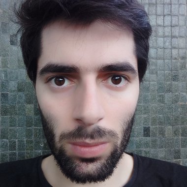 Francisco M. - Freelance Developer