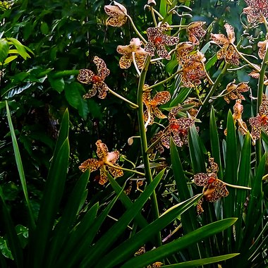 Jeffrey K. - Freelance Photographer